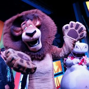 Meet your Posher, Janice